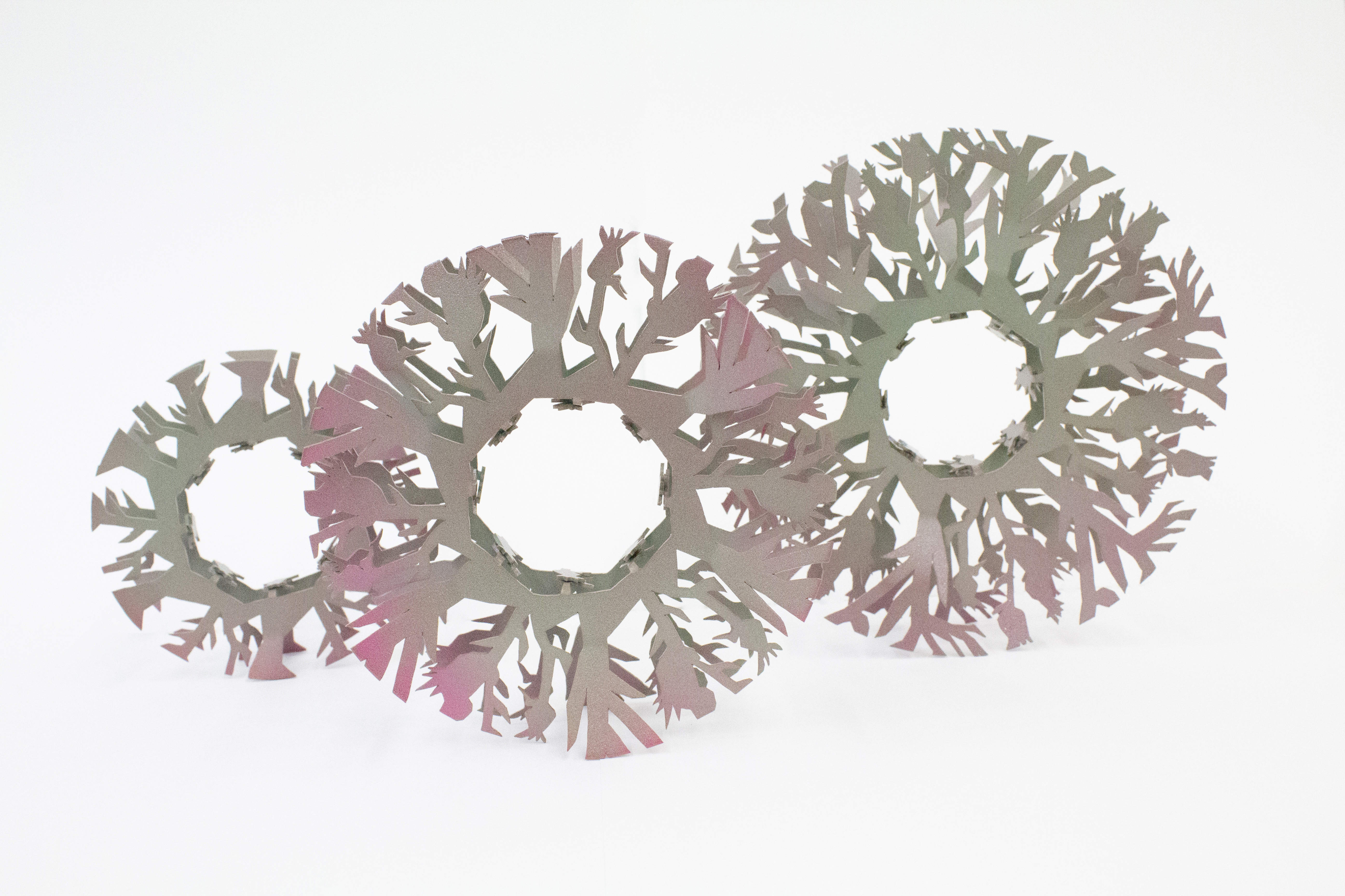 knapweed pruning series